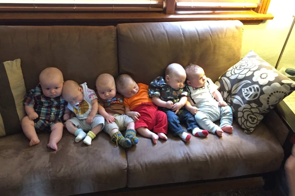 6 Babies.jpg
